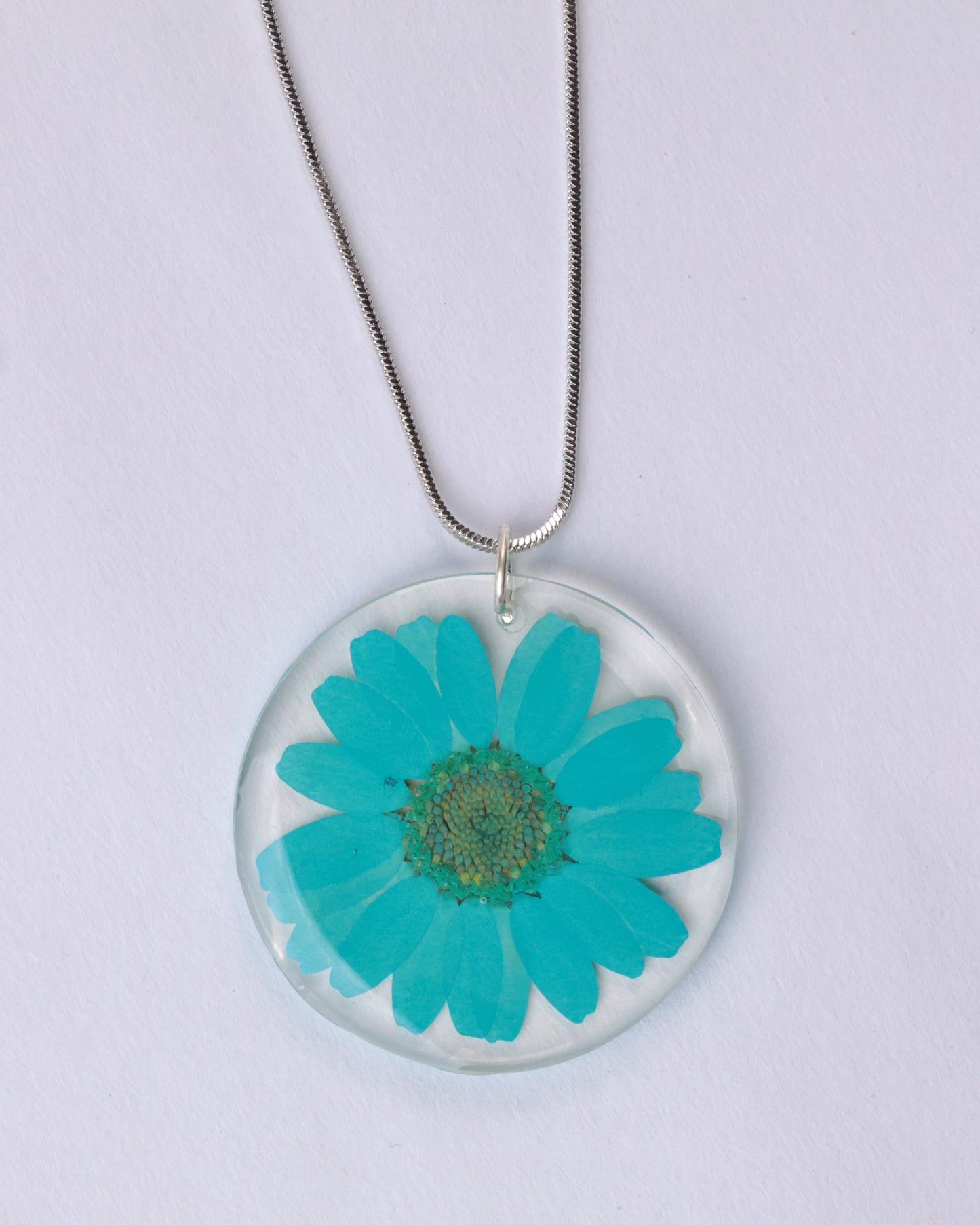 AQUA BLOOM DAISY