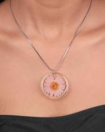 BLUSH PINK DAISY