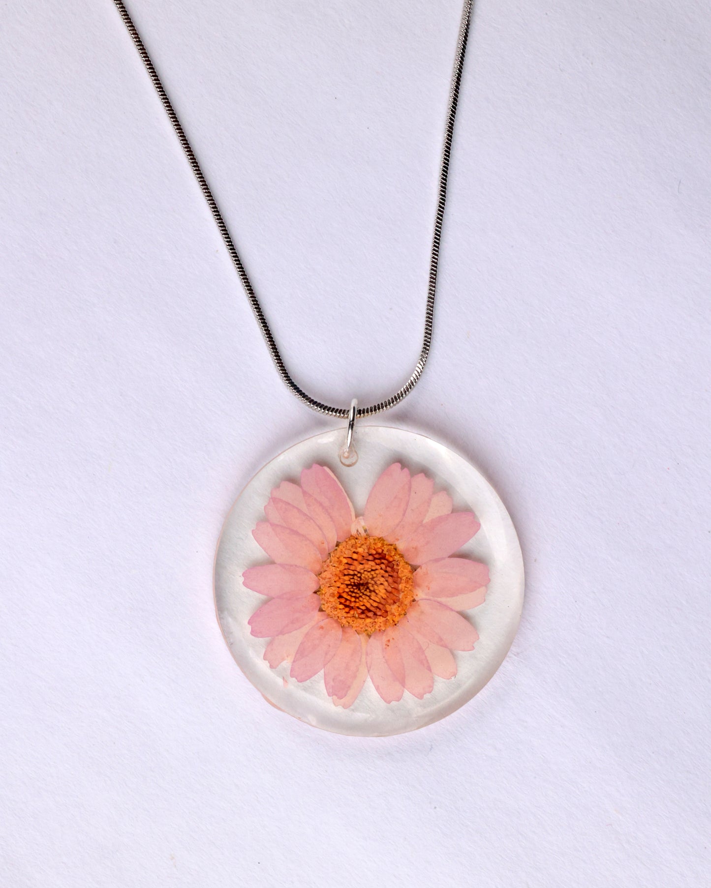 BLUSH PINK DAISY