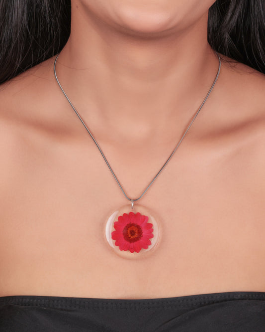 RADIANT RED DAISY