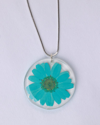 AQUA BLOOM DAISY